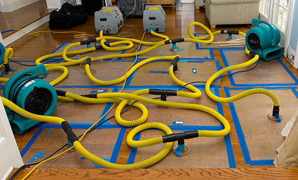 Professional Storm Water Damage Restoration technician working in Marysville, MI